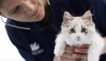 Nurse with cat